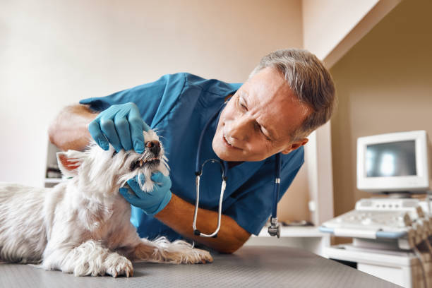 Best Emergency Treatment for Jaw Pain or Injury in Butner, NC